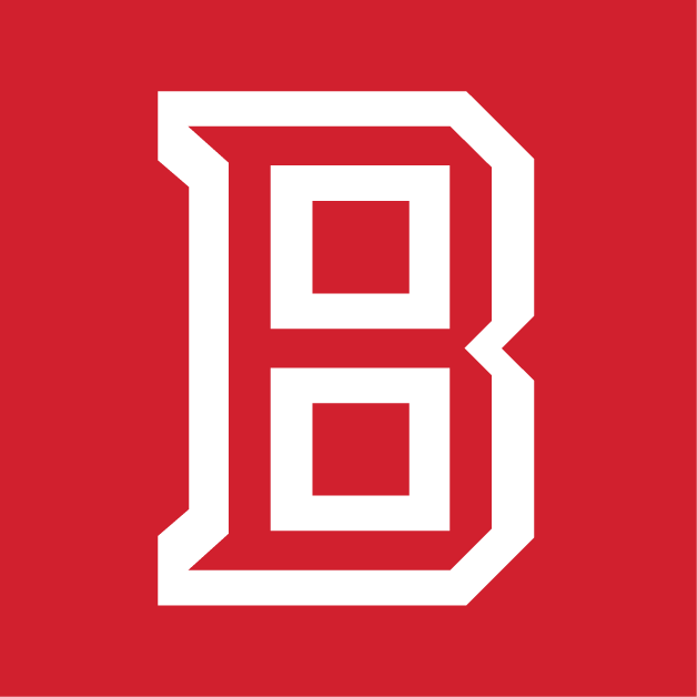 Bradley Braves 2012-Pres Alt on Dark Logo vinyl decal